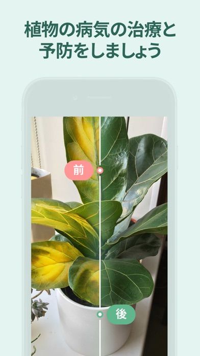 Blossom - 植物や花の名前を認識しましょう screenshot
