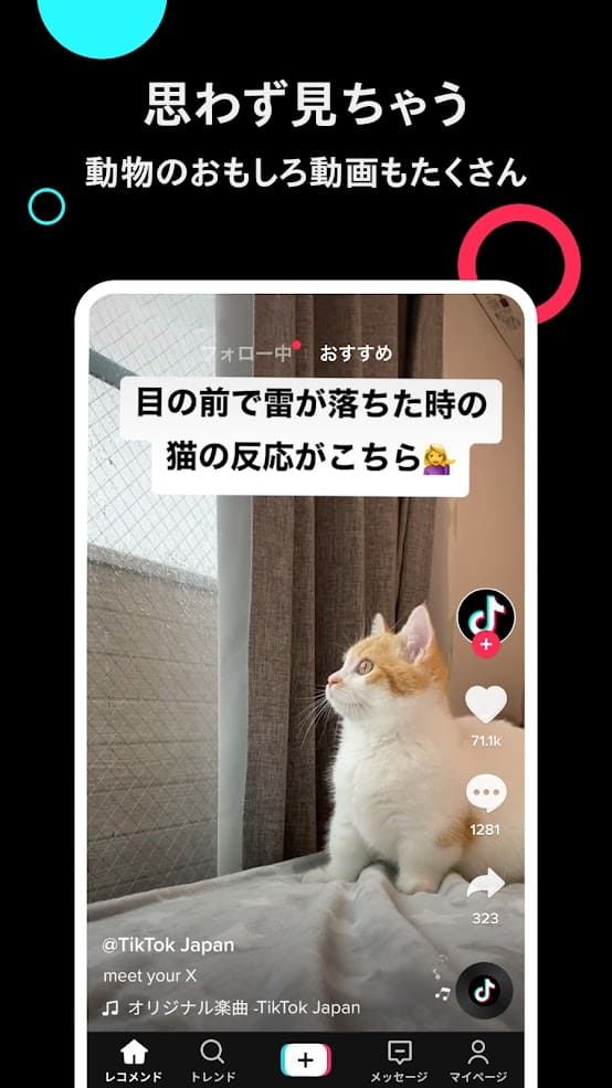 TikTok screenshot