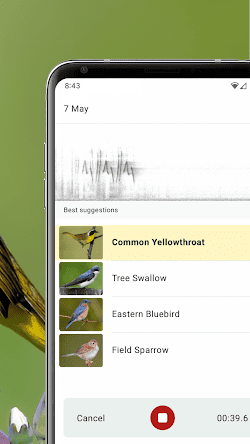 Merlin Bird ID by Cornell Lab screenshot