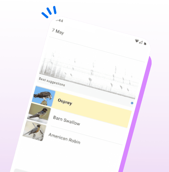 Real-Time Sound Identification